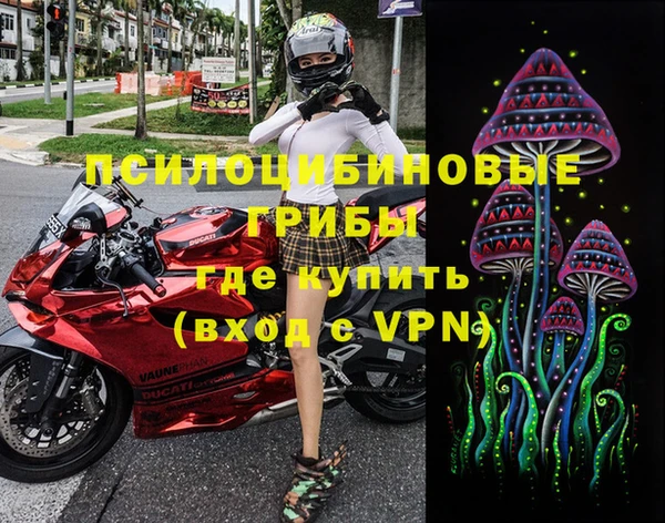 скорость Бородино