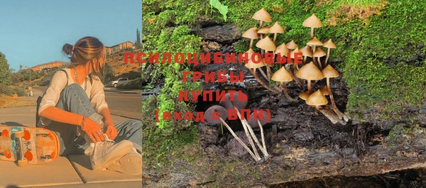 скорость Бородино