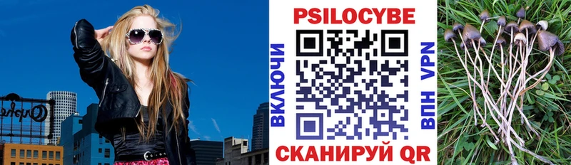 Галлюциногенные грибы Cubensis где купить Александровское